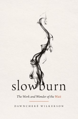 Cover image for Slow Burn