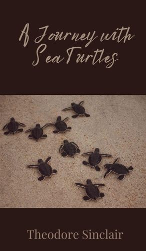 Cover image for A Journey with Sea Turtles
