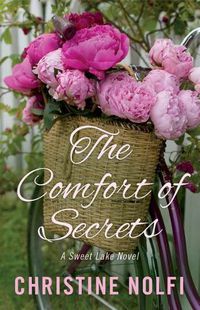 Cover image for The Comfort of Secrets