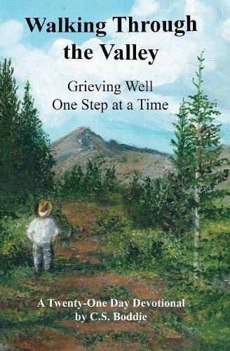 Cover image for Walking Through the Valley: Grieving Well One Step at a Time