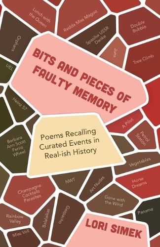 Cover image for Bits and Pieces Of Faulty Memory