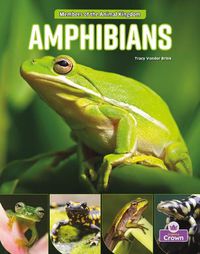 Cover image for Amphibians