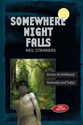 Cover image for Somewhere Night Falls