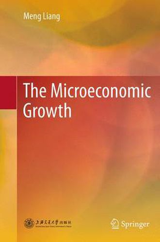 Cover image for The Microeconomic Growth