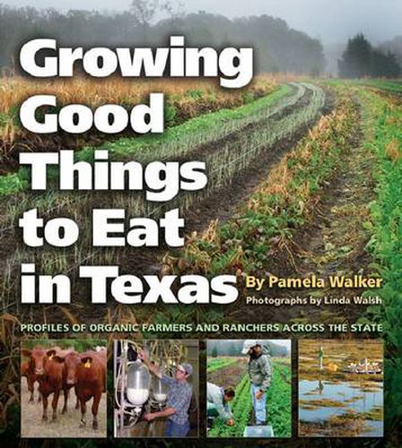 Cover image for Growing Good Things to Eat in Texas: Profiles of Organic Farmers and Ranchers across the State