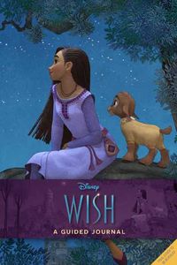Cover image for Disney Wish: A Guided Wishing Journal