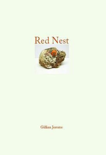 Cover image for Red Nest