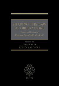 Cover image for Shaping the Law of Obligations