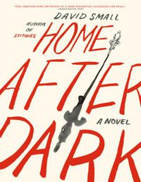 Cover image for Home After Dark: A Novel