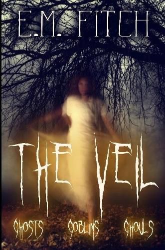 Cover image for The Veil