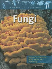 Cover image for Fungi: Mushrooms, Toadstools, Molds, Yeasts, and Other Fungi