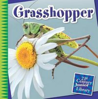 Cover image for Grasshopper