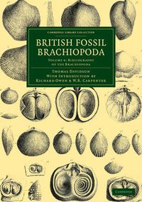 Cover image for British Fossil Brachiopoda