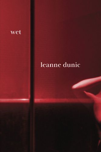 Cover image for Wet