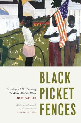 Cover image for Black Picket Fences