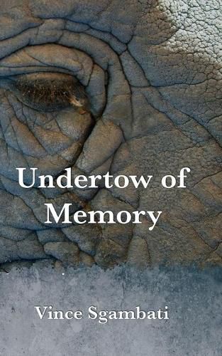 Cover image for Undertow of Memory