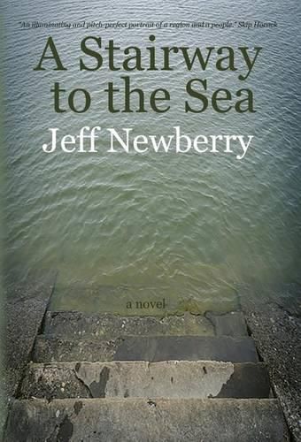 Cover image for A Stairway to the Sea