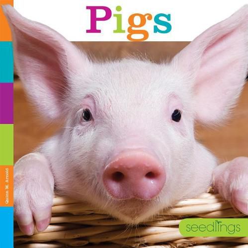 Cover image for Seedlings: Pigs