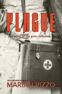 Cover image for Plague: a novel of the great influenza