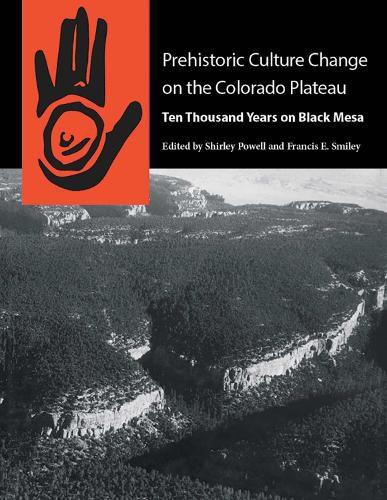 Cover image for Prehistoric Culture Change on the Colorado Plateau: Ten Thousand Years on Black Mesa