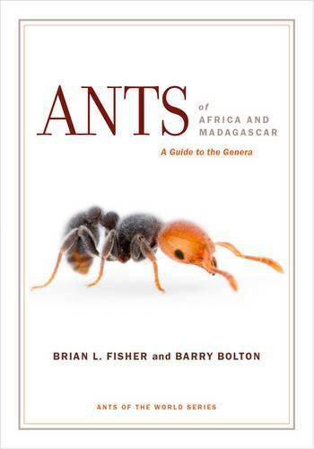 Cover image for Ants of Africa and Madagascar: A Guide to the Genera