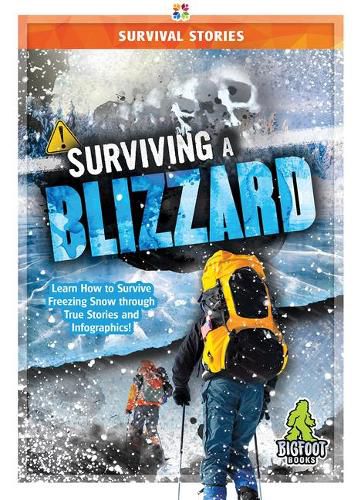 Cover image for Survival Stories: Surviving a Blizzard