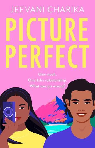 Cover image for Picture Perfect