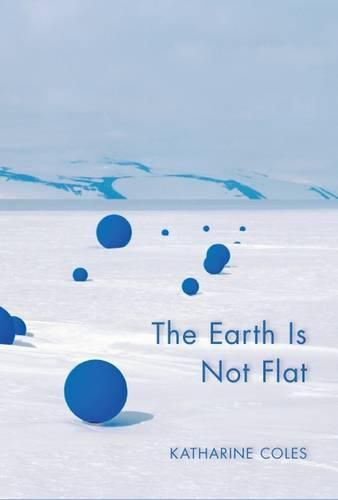 Cover image for The Earth Is Not Flat