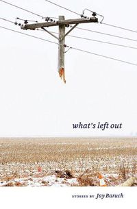 Cover image for What's Left Out