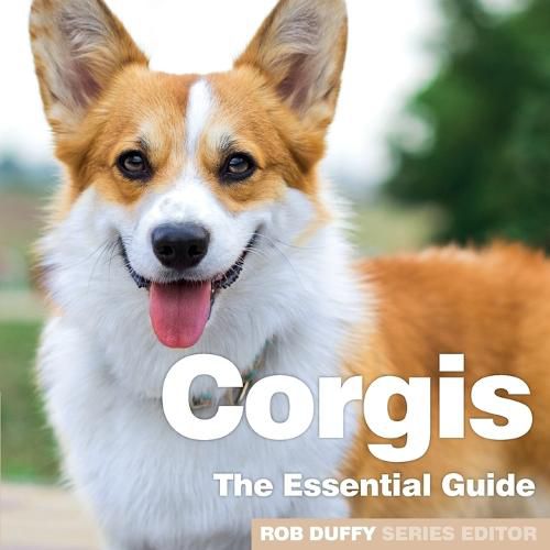 Cover image for Corgis: The Essential Guide