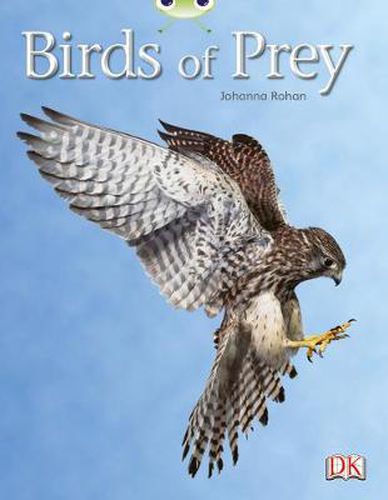 Cover image for Bug Club Independent Non Fiction Year Two White A Birds of Prey