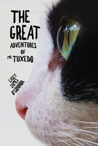 Cover image for The Great Adventures of Mr. Tuxedo
