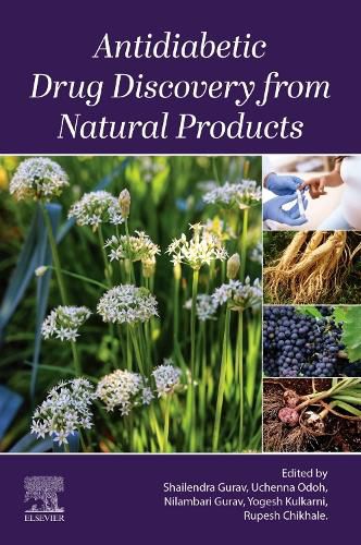 Cover image for Antidiabetic Drug Discovery from Natural Products