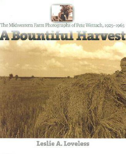 Cover image for A Bountiful Harvest: The Midwestern Farm Photographs of Pete Wettach, 1925-1965