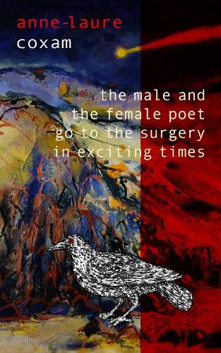 Cover image for The Male and the Female Poet Go to the Surgery in Exciting Times