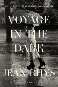 Cover image for Voyage in the Dark: A Novel