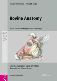 Cover image for Bovine Anatomy: An Illustrated Text, Second  Edition
