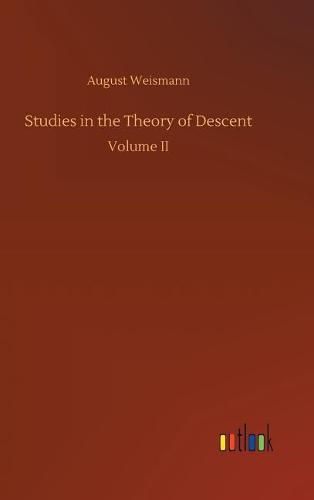 Studies in the Theory of Descent