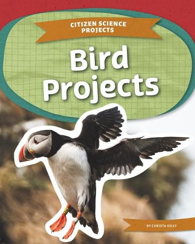 Cover image for Bird Projects