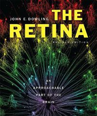 Cover image for The Retina: An Approachable Part of the Brain, Revised Edition