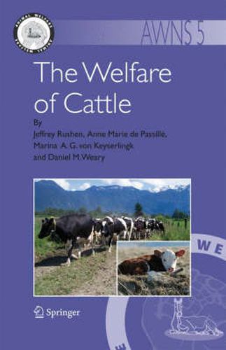 Cover image for The Welfare of Cattle