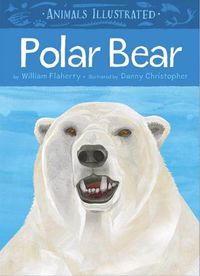 Cover image for Animals Illustrated: Polar Bear