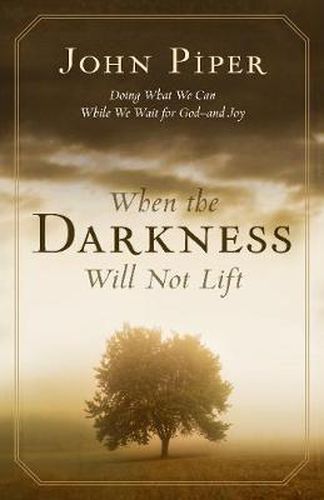 Cover image for When the Darkness Will Not Lift: Doing What We Can While We Wait for God--and Joy