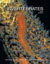Cover image for Invertebrates