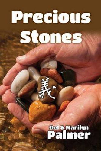 Cover image for Precious Stones