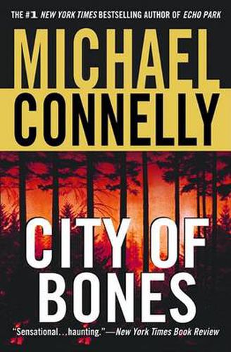 Cover image for City of Bones