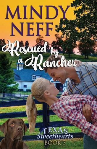 Cover image for Rescued by a Rancher: Small Town Contemporary Romance