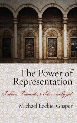 Cover image for The Power of Representation: Publics, Peasants, and Islam in Egypt