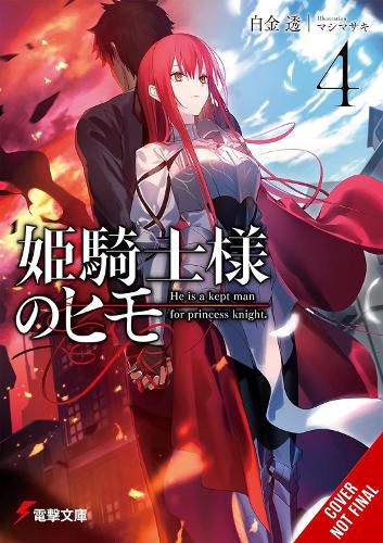 Cover image for The Kept Man of the Princess Knight, Vol. 4