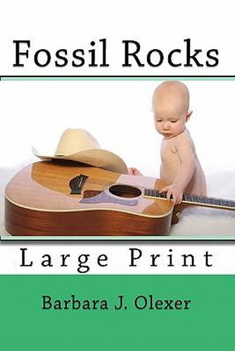 Cover image for Fossil Rocks